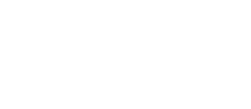 Rajodiya Infotech Services